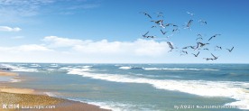 海边景色