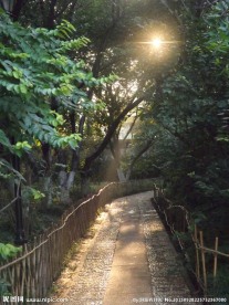 公园小径