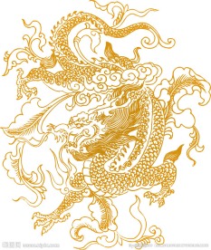 金龙