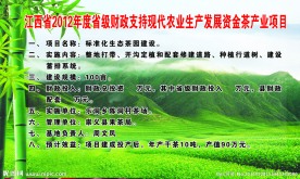 茶园广告