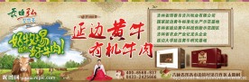 高档背景公司简介