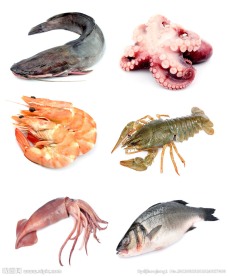 海产品