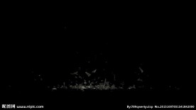 动态粒子碎片视频素材