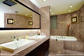 陶瓷瓷片效果图