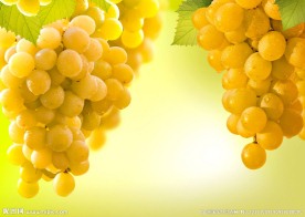 葡萄