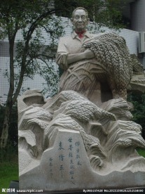 杂交水稻之父