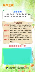 班级文化