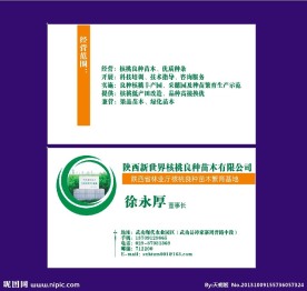 苗木名片设计