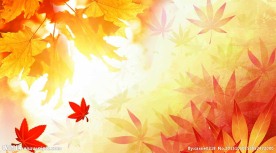 秋季海报 枫叶