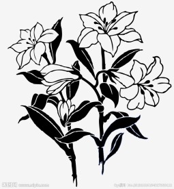 百合花矢量