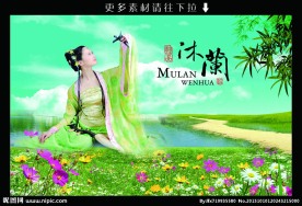 绿色风景 夏天