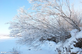 南河套雪景