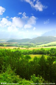 绿色大自然风景