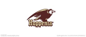 雄鹰logo