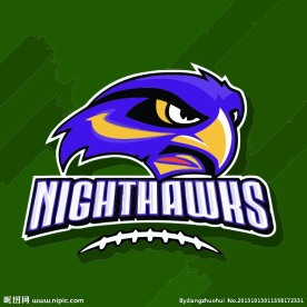 雄鹰logo