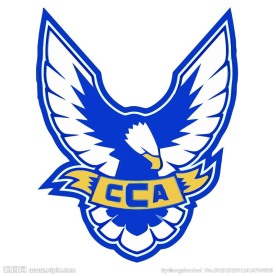 雄鹰logo