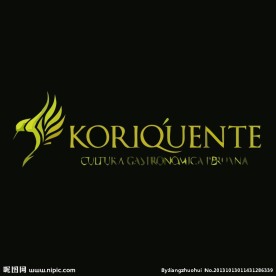 雄鹰logo