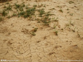 干涸的土地