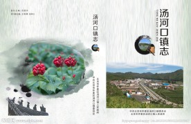 荷花 封面 书籍
