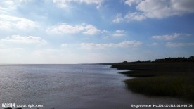 海滩芦苇 海水 蓝天
