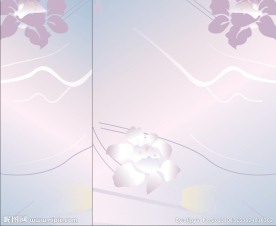 玻璃移门风雅