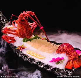 澳洲龙虾