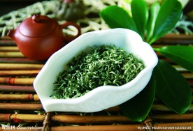 碧螺春