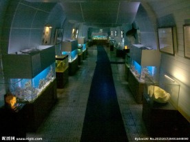 展示厅