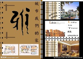 楼书 平面设计