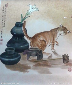 黄猫回眸