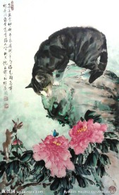 黑猫观花