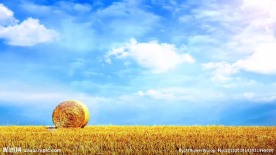 蓝天白云草原视频