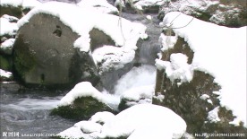 雪景