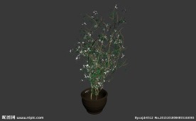 鲜花模型