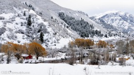 雪景