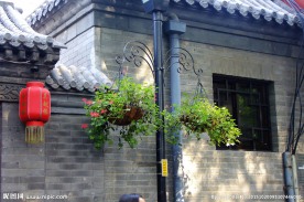 花盆 盆景