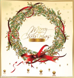 圣诞节花圈花环