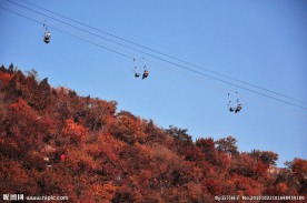 香山红叶