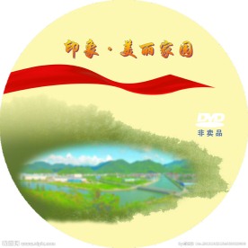 现象家园光盘