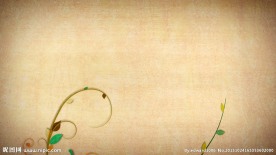 绿植生长高清视频素材