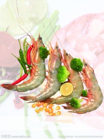 海白虾