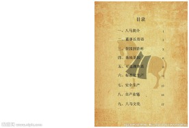 八马茶叶宣传册