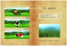 八马茶叶宣传册