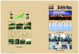 八马茶叶宣传册