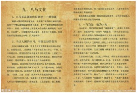 八马茶叶宣传册