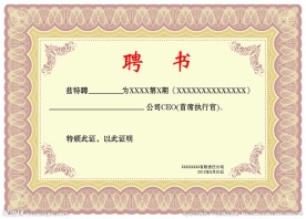 聘书首席执行官