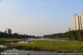 城市原生态公园