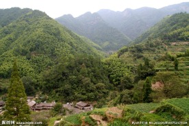 林坑古村