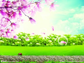 玉兰风景图