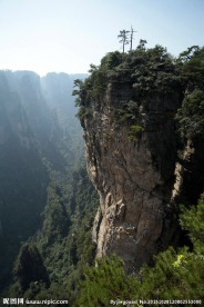 松树山峰